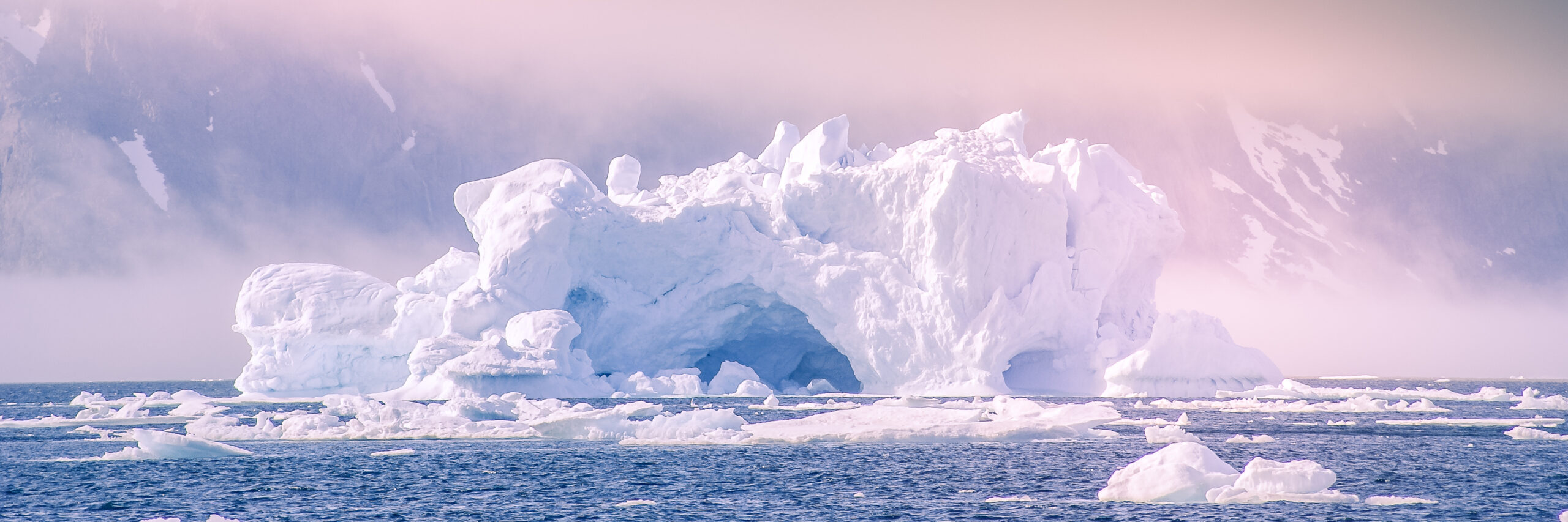 From carbon footprint to business impact
